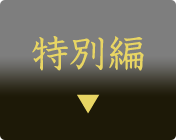 特別編