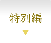 特別編
