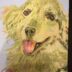 素敵な絵をプレゼントしていただきました　　　　開運引越し・家相